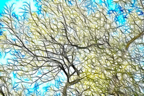 ��ľ֦Ҷ�����޿�