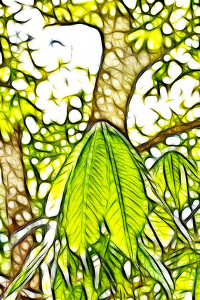 ��ľ֦Ҷ����