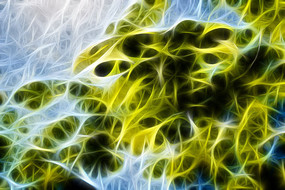 ��ľ֦Ҷװ�λ�