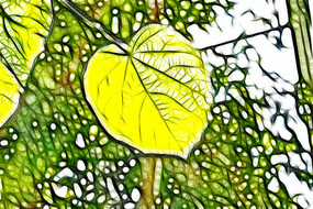 ��ҶҶ����д����