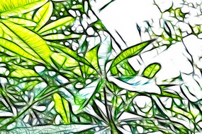 �ǽ�������