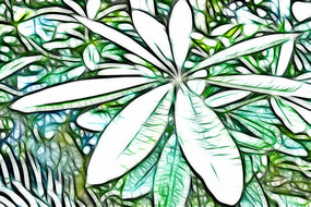 �ǽ���֦Ҷ�廭