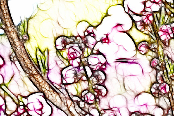 ��Ҷ÷����֦