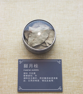 ���¹���Ҷ