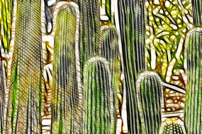 ���˰� ����