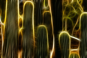 ���˰�����