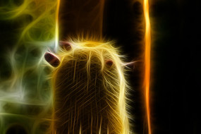 ���˰��λ��޿�