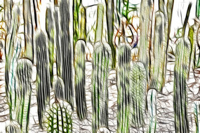 ���˰���