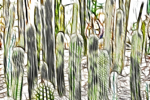 ���˰���