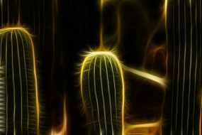 ���˰��޿�