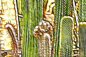 ���˰�������