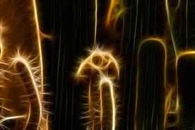 ���˰�װ�λ�