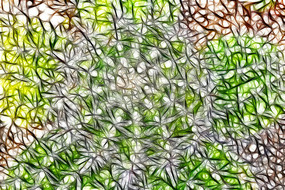 �����򶥲�