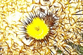 �����򻨳���