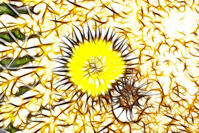 �����򿪻�