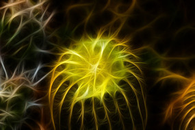 �����򿪻�����