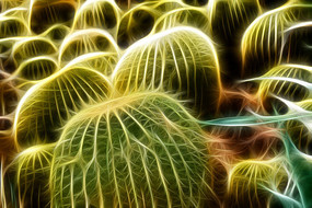 �������λû滭