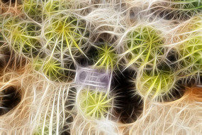 �������λ��޿�