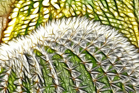 ��������д