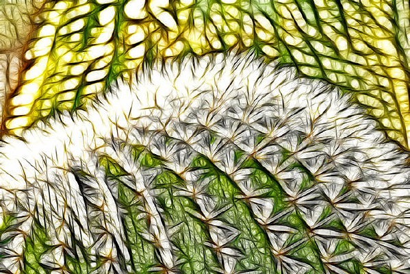 ��������д