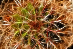 ��������������