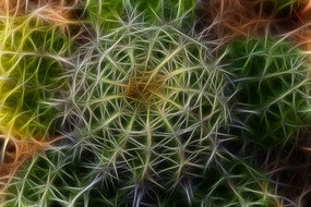 �����������޿�