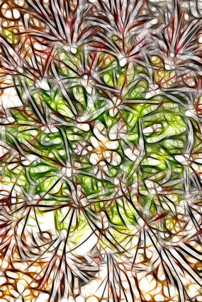 ���������˴�