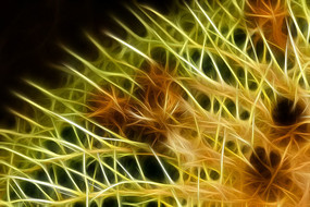 ��������������