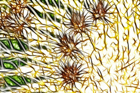 ������������