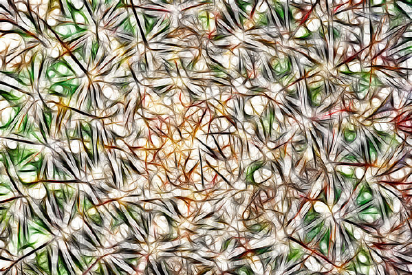 ������������