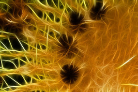 �����������޿�