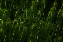 �廭��Ⱥ�ز�