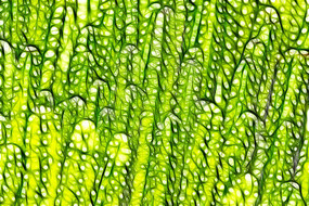 ������������