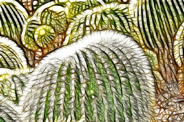 һƬ������