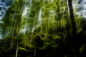 ����ˮɼ���ֳ���