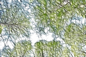 ����ˮɼ����װ�λ�