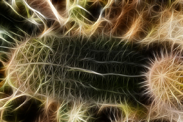 ��״������