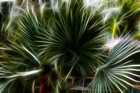 ������޿�