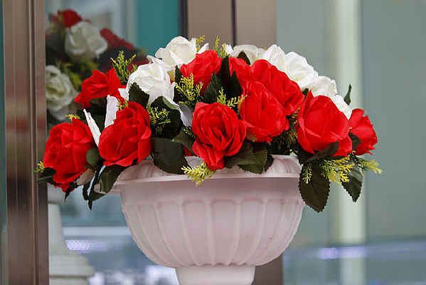 ��ɫ����