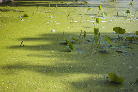 ���Ǹ�Ƽ�ĺ���