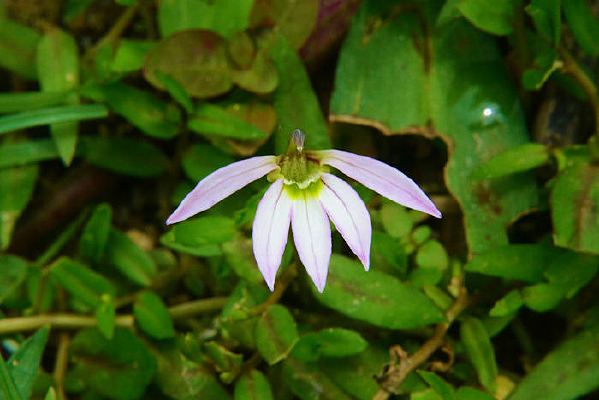 �����ÿ��Ļ���