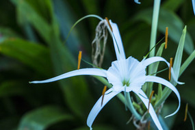 �׻�����