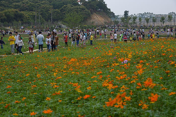 �����ͻ�