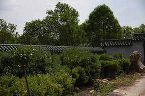 ������Χǽ