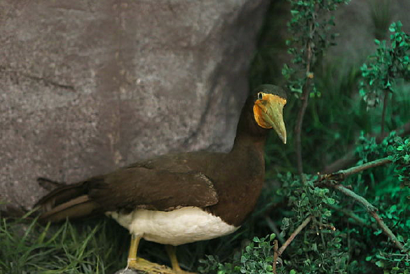 ��ϧ����걾