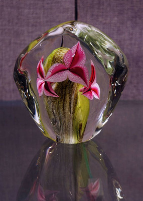 ����������Ʒ