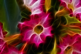 ����ɳĮõ��