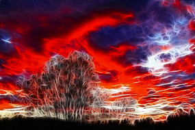 ���Ի�����ϼ��