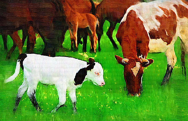 �����ͻ���ţ����