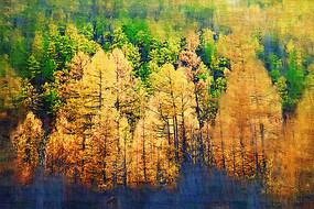 �����ͻ������֡�